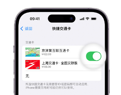 朝阳apple维修点分享iPhone上更换Apple Pay快捷交通卡手绘卡面 