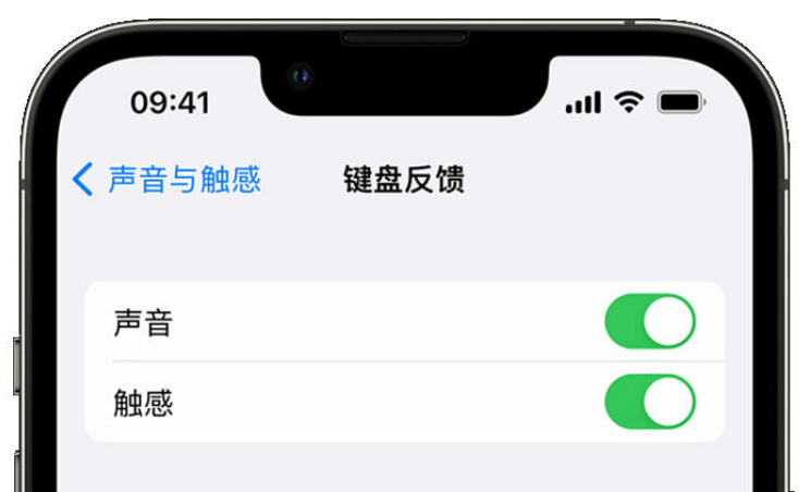 朝阳苹果手机维修分享iPhone 14触感键盘使用方法 