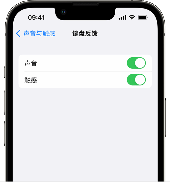 朝阳苹果14维修店分享如何在 iPhone 14 机型中使用触感键盘 