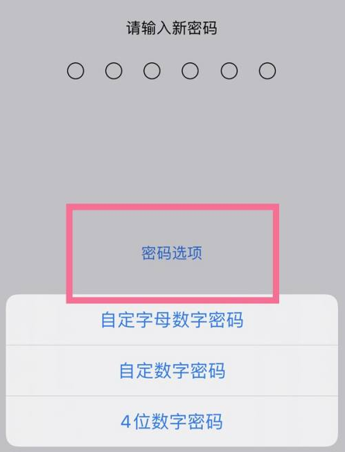 朝阳苹果14维修分享iPhone 14plus设置密码的方法 