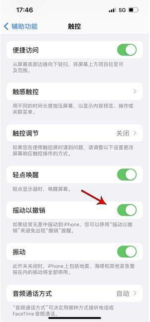 朝阳苹果手机维修分享iPhone手机如何设置摇一摇删除文字 